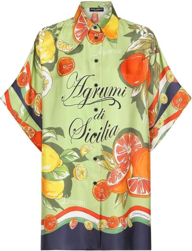 Dolce & Gabbana Blouse met fruitprint Groen