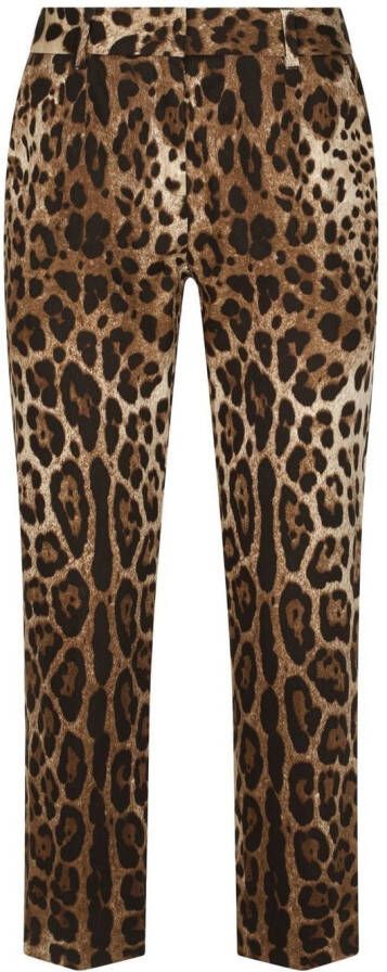 Dolce & Gabbana Pantalon met luipaardprint Bruin