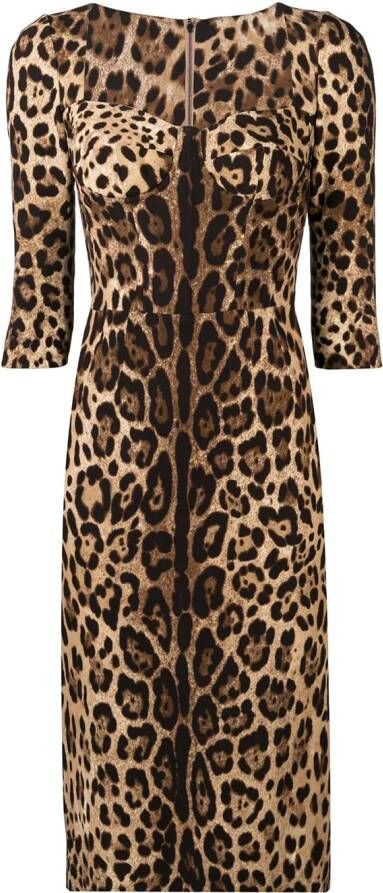Dolce & Gabbana Getailleerde jurk met luipaarddessin Bruin