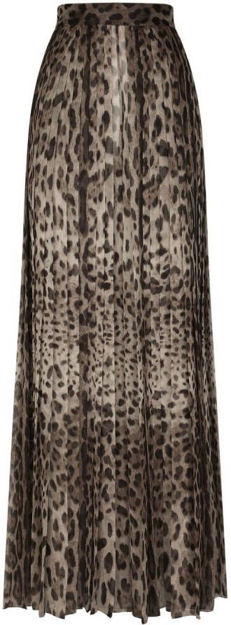 Dolce & Gabbana Culotte met luipaardprint Zwart