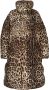 Dolce & Gabbana Jas met luipaardprint Bruin - Thumbnail 1