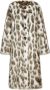 Dolce & Gabbana Jas met luipaardprint Wit - Thumbnail 1