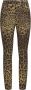 Dolce & Gabbana Jeans met luipaardprint Beige - Thumbnail 1