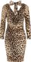 Dolce & Gabbana Jurk met luipaardprint Beige - Thumbnail 1