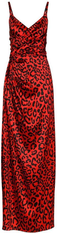 Dolce & Gabbana Jurk met luipaardprint Rood
