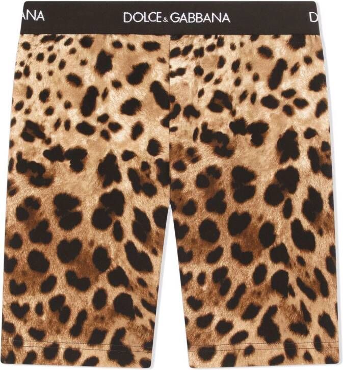 Dolce & Gabbana Kids Fietsshorts met luipaardprint Bruin