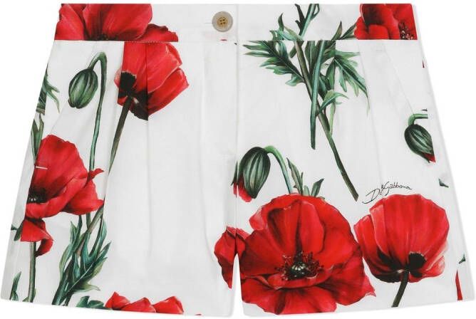 Dolce & Gabbana Kids Shorts met bloe print Wit
