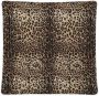 Dolce & Gabbana Kids Katoenen deken met luipaardprint Bruin - Thumbnail 1