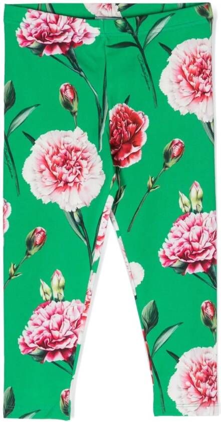 Dolce & Gabbana Kids Legging met bloe print Groen