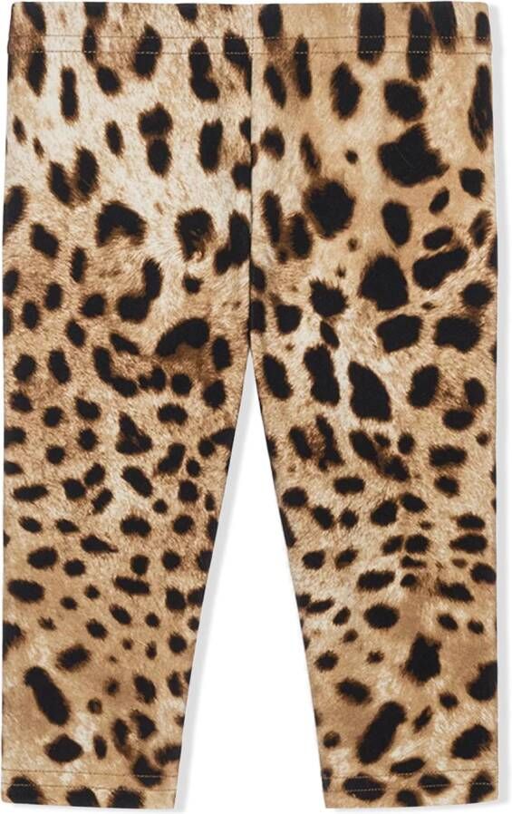 Dolce & Gabbana Kids Legging met luipaardprint kinderen katoen 18 24 Bruin