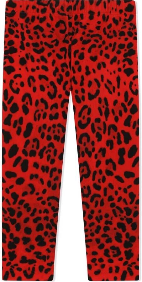 Dolce & Gabbana Kids Legging met luipaardprint Rood