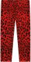 Dolce & Gabbana Kids Legging met luipaardprint Rood - Thumbnail 1