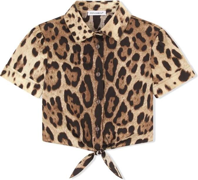 Dolce & Gabbana Kids Popeline shirt met luipaardprint Bruin