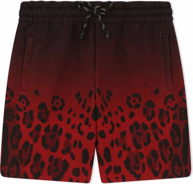Dolce & Gabbana Kids Shorts met luipaardprint Zwart