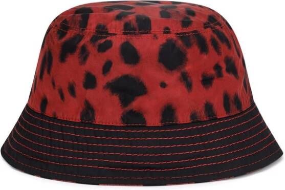 Dolce & Gabbana Kids Vissershoed met luipaardprint Rood