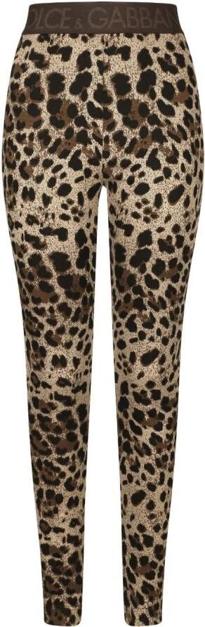 Dolce & Gabbana Legging met luipaardprint Beige