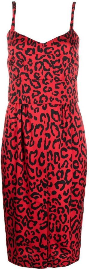 Dolce & Gabbana Midi-jurk met luipaardprint Rood