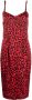 Dolce & Gabbana Midi-jurk met luipaardprint Rood - Thumbnail 1