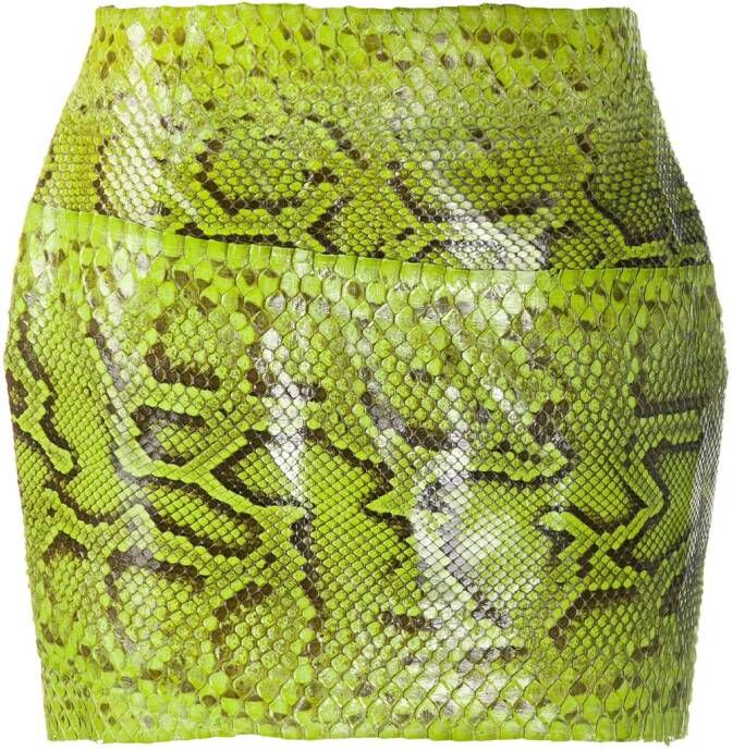 Dolce & Gabbana Mini-rok met slangenhuid-effect Groen