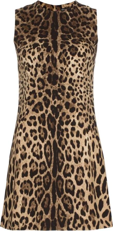 Dolce & Gabbana Mini-shift jurk met luipaarddessin Bruin