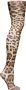 Dolce & Gabbana Panty met luipaardprint Beige - Thumbnail 1