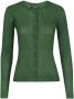 Dolce & Gabbana Ribgebreid vest Groen - Thumbnail 1
