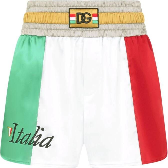 Dolce & Gabbana Shorts met colourblocking Groen