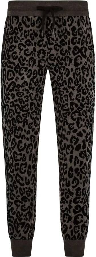 Dolce & Gabbana Trainingsbroek met luipaardprint Grijs