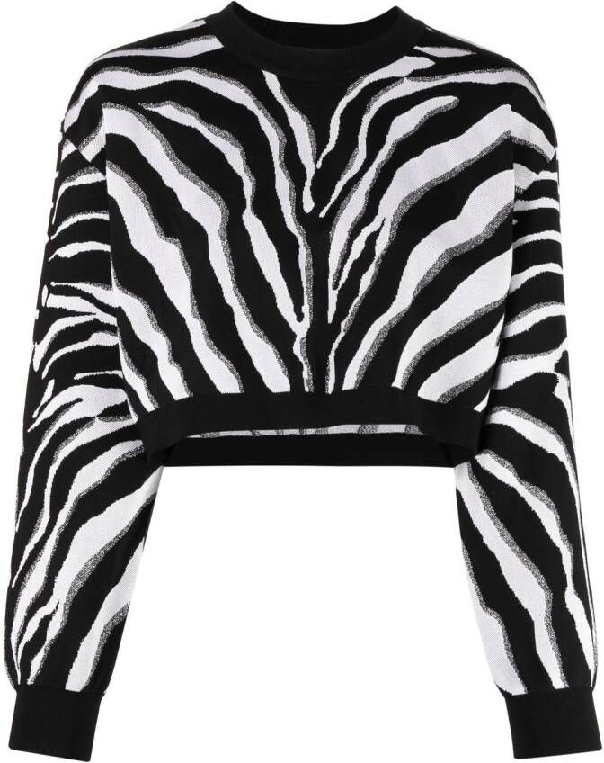 Dolce & Gabbana Trui met zebraprint Zwart