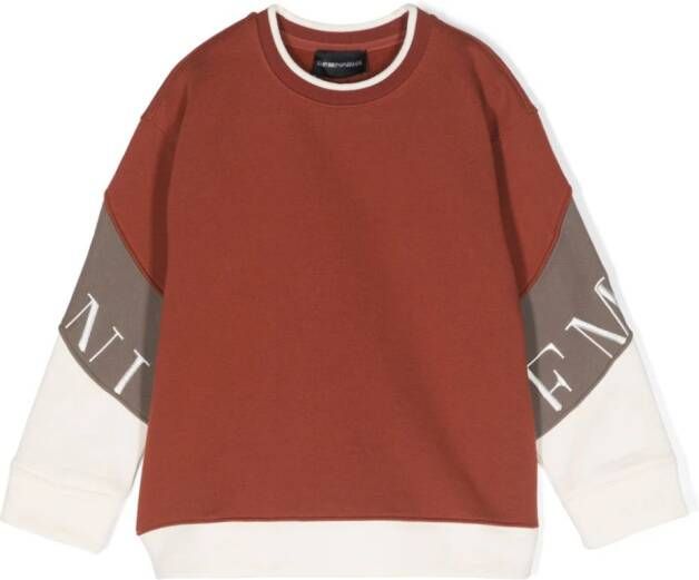 Emporio Ar i Kids Sweater met colourblocking Bruin