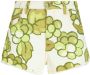 ETRO Denim shorts Groen - Thumbnail 1