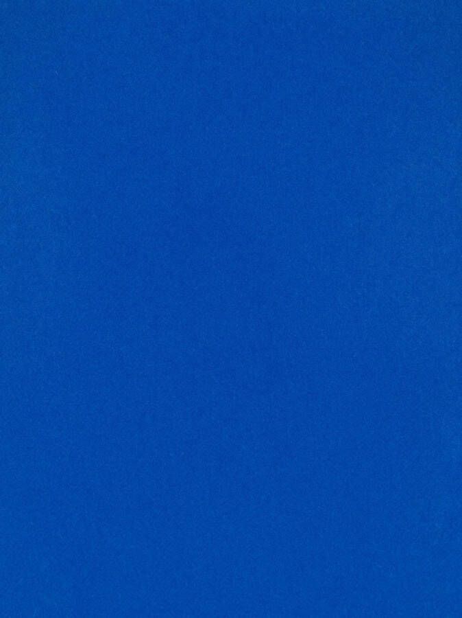 Acne Studios Wollen sjaal Blauw
