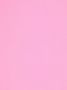 Acne Studios Sjaal met franje afwerking en logo label Roze - Thumbnail 2