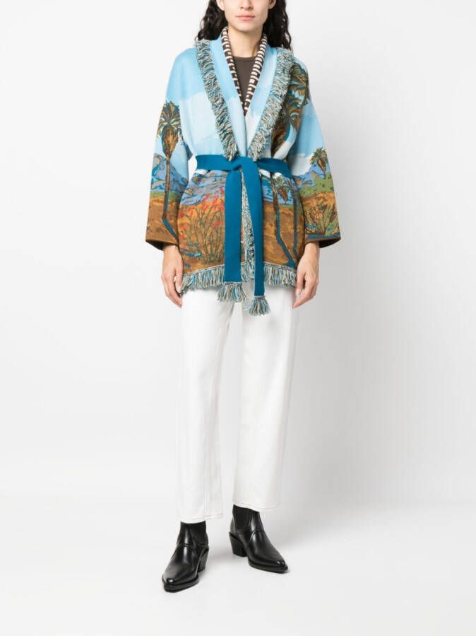 Alanui Intarsia vest Blauw