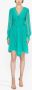 Alberta Ferretti Geplooide mini-jurk Groen - Thumbnail 2
