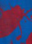 Alexander McQueen Sjaal met print Blauw - Thumbnail 2