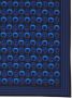 Alexander McQueen Sjaal met print Blauw - Thumbnail 2