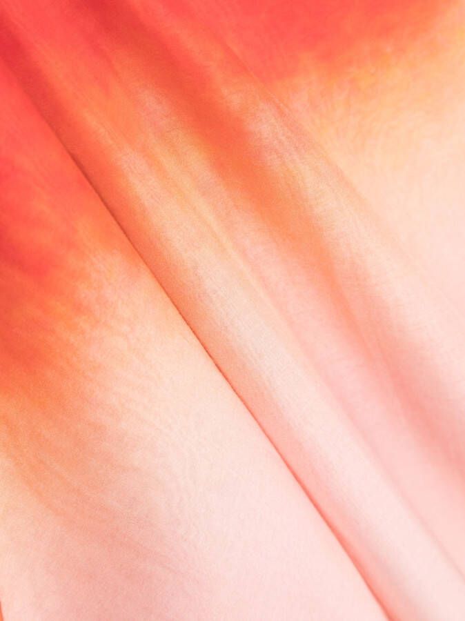 Alexander McQueen Sjaal met kleurverloop Roze