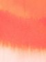 Alexander McQueen Sjaal met kleurverloop Roze - Thumbnail 3