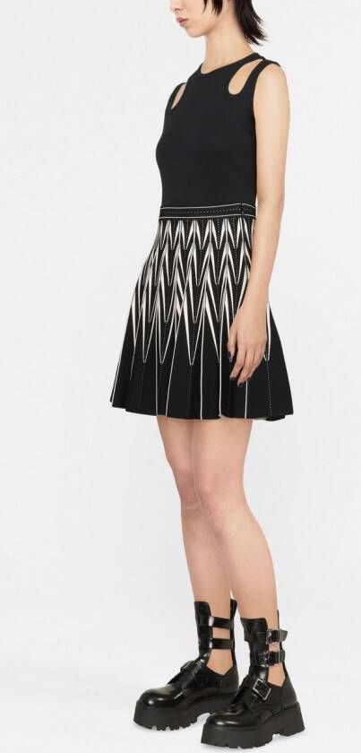 Alexander McQueen Plooirok met zigzagpatroon Zwart