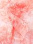 Alexander McQueen Sjaal met abstracte print Roze - Thumbnail 3