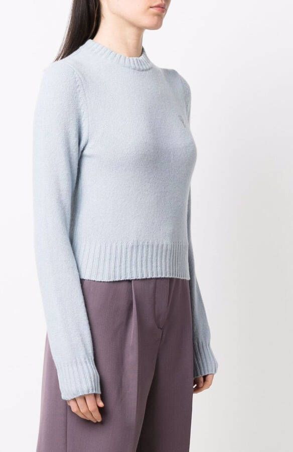 AMI Paris Trui met logo Blauw