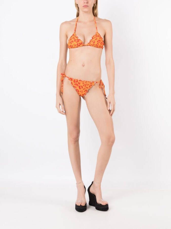 Amir Slama Bikini met luipaardprint Oranje