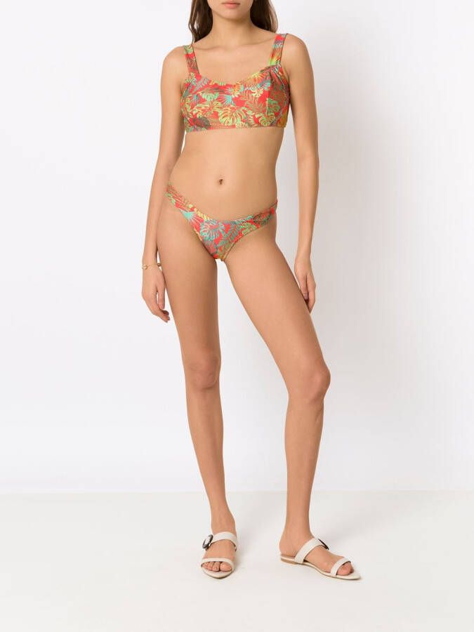 Amir Slama Bikini met palmbladprint Rood