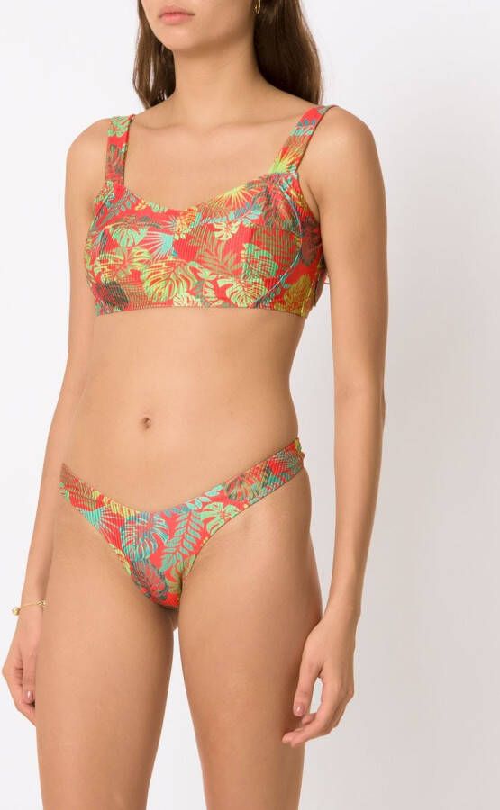 Amir Slama Bikini met palmbladprint Rood