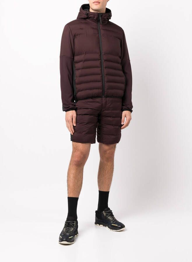 Aztech Mountain Shorts Paars