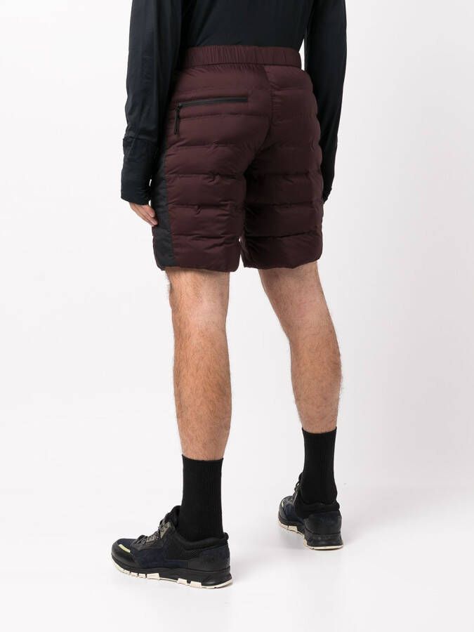 Aztech Mountain Shorts Paars