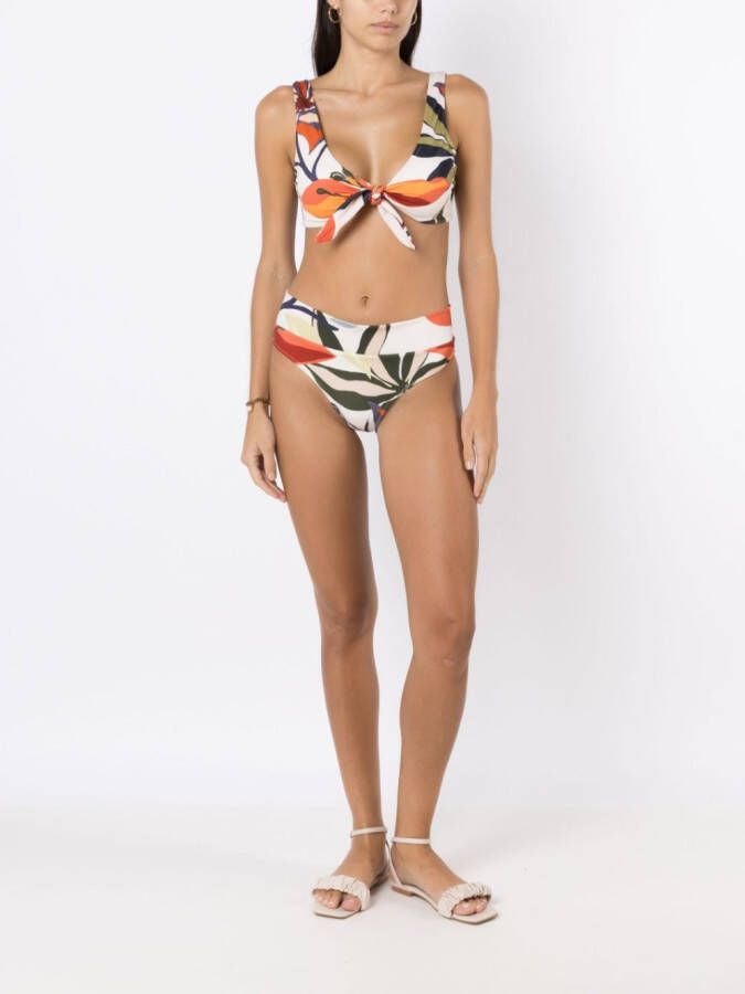 Brigitte Bikini met palmprint Veelkleurig