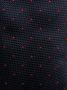 Brunello Cucinelli Stropdas met stippen Blauw - Thumbnail 2