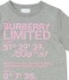 Burberry Kids T-shirt met print Grijs - Thumbnail 3